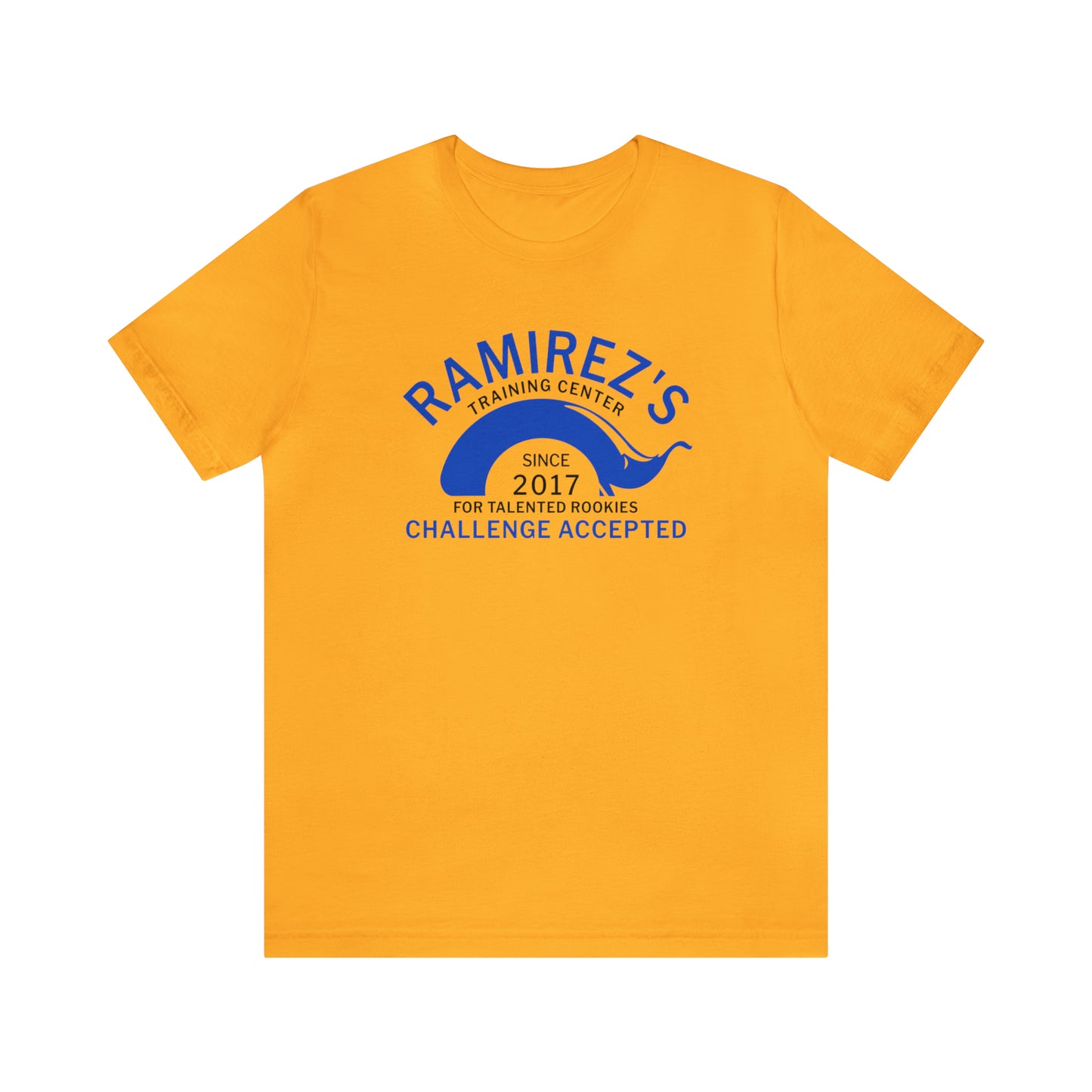 Cruz Ramirez Logo Shirt, Ramirez's Training Center For Talented Rookies Since 2017 T-Shirts, Pixar Cars Costume