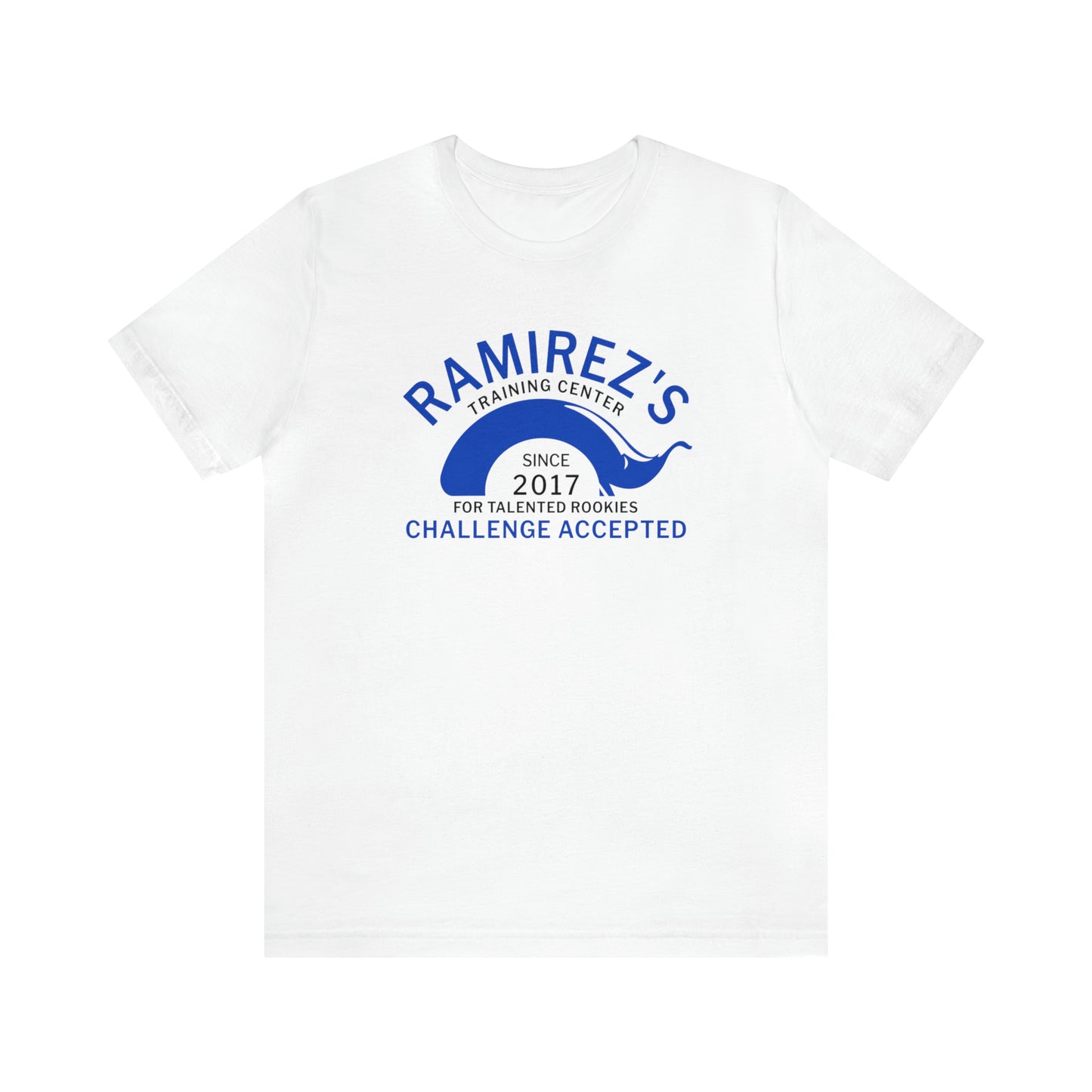 Cruz Ramirez Logo Shirt, Ramirez's Training Center For Talented Rookies Since 2017 T-Shirts, Pixar Cars Costume